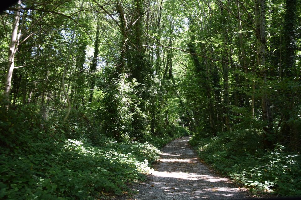 Chemin du sentier du roc du Verdier