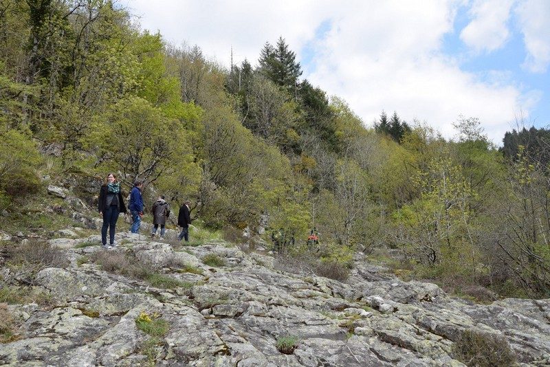 Chemin sentier du Camboussel Brassac