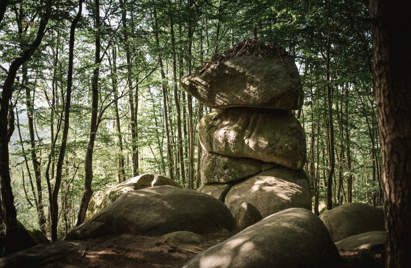 3 fromages sur le sentier des merveilles Sidobre