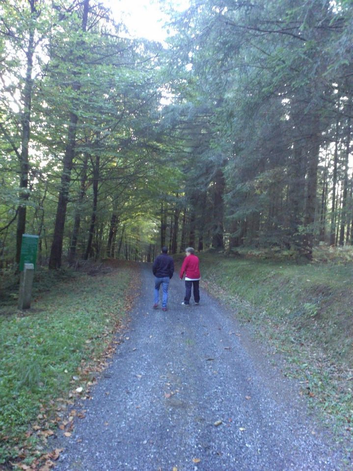 Sentier des mémoires sous-bois