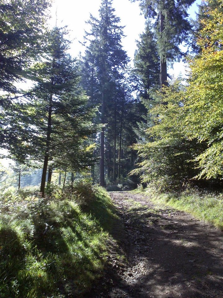 Sentier des mémoires Lasfaillades