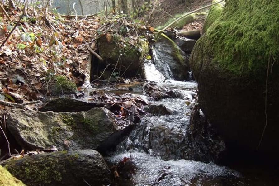 vue ruisseau de Renne