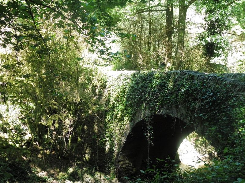 Petit pont sentier Vabre
