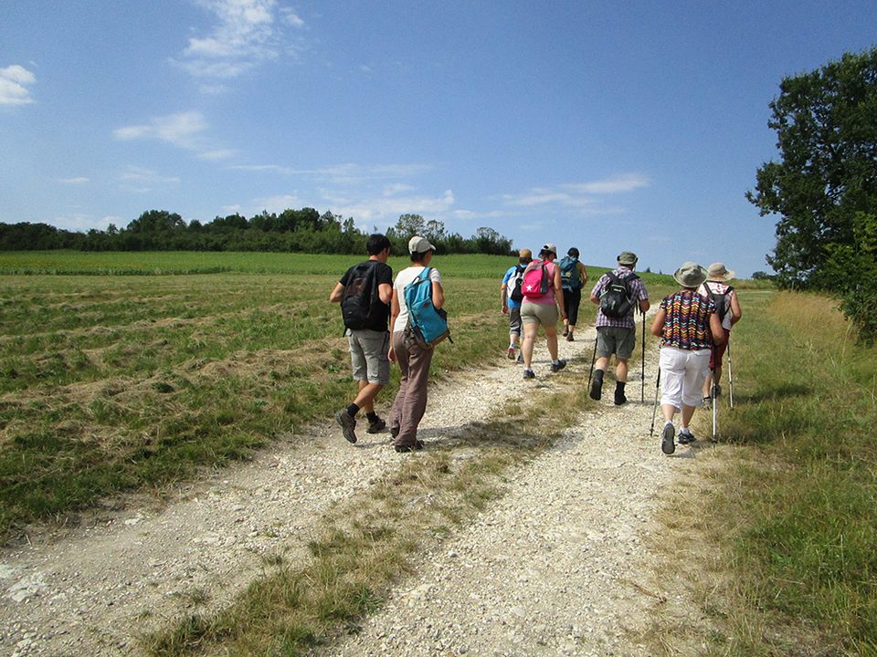 Randonneurs cheminant sur le plateau