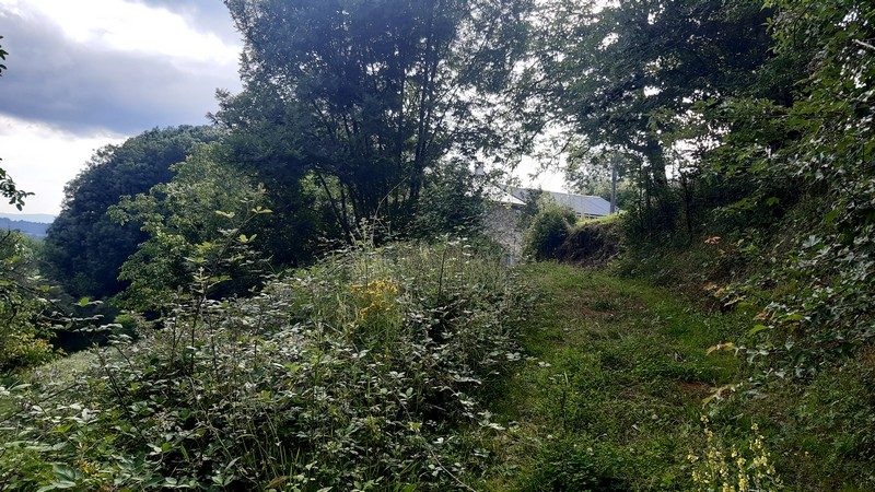 Sentier près de Conan