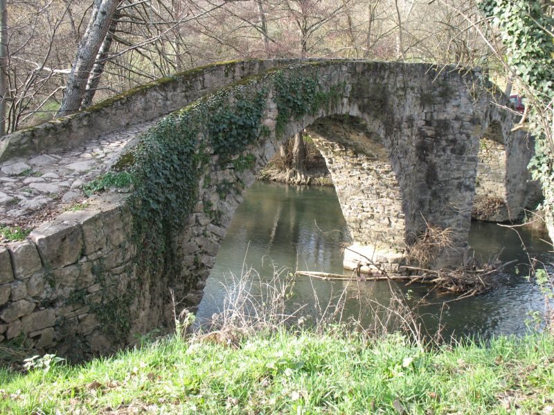 Pont des Anes