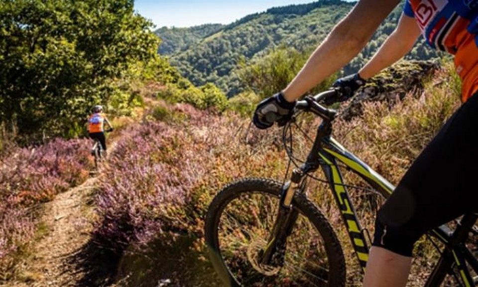 circuit VTT le margnès