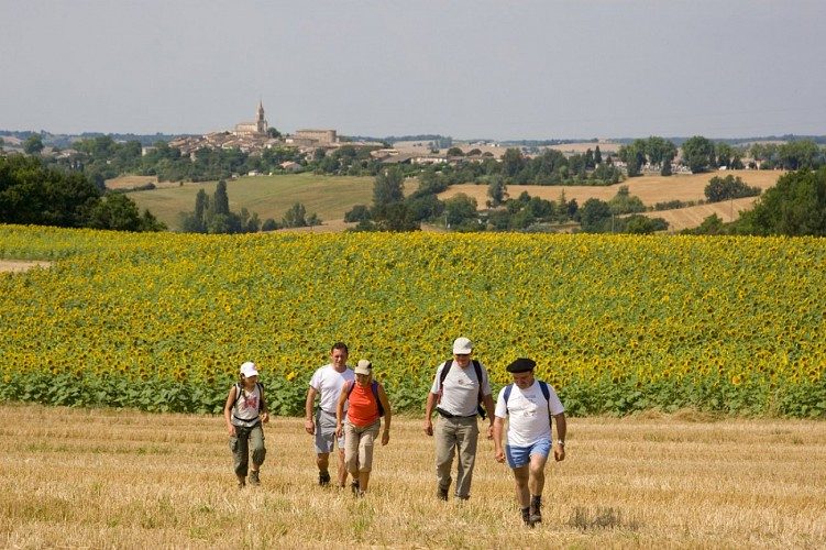 Randonneurs dans les vignes.
