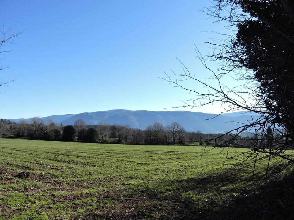 Vue sur la Montagne Noire