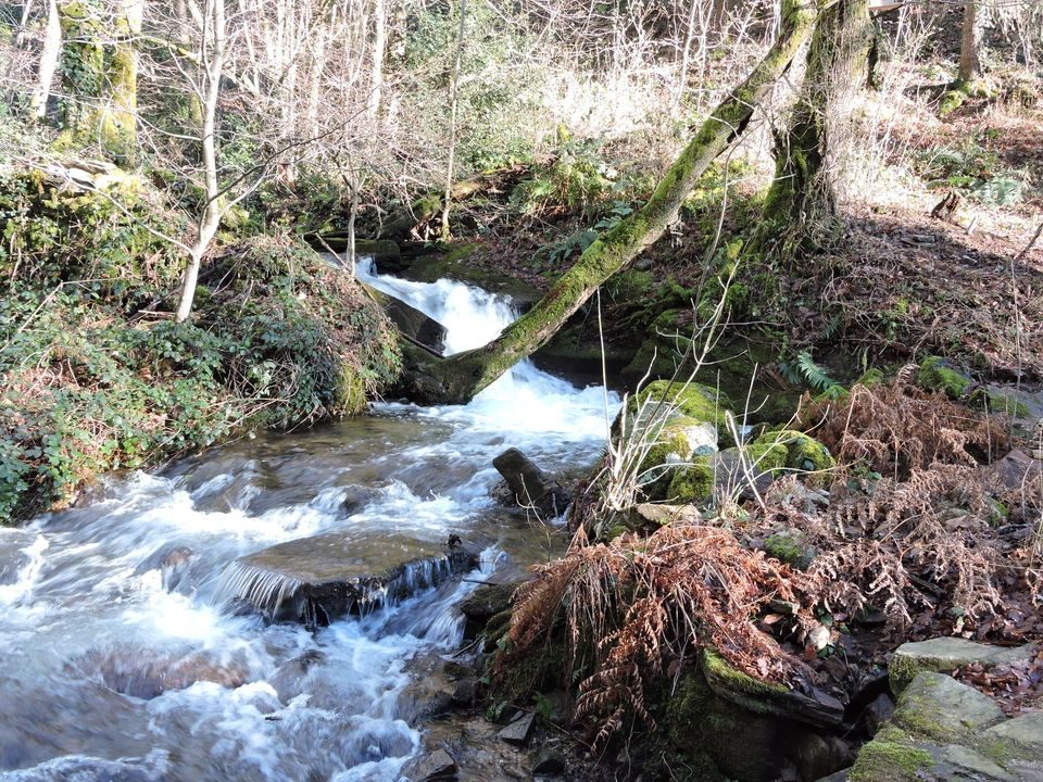 Ruisseau
