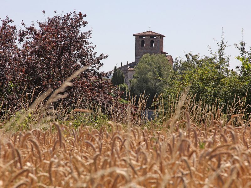 Église Saint-Michel : implantée à l'extérieur du bourg ancien elle dévoile un portail d'une remarquable qualité.
