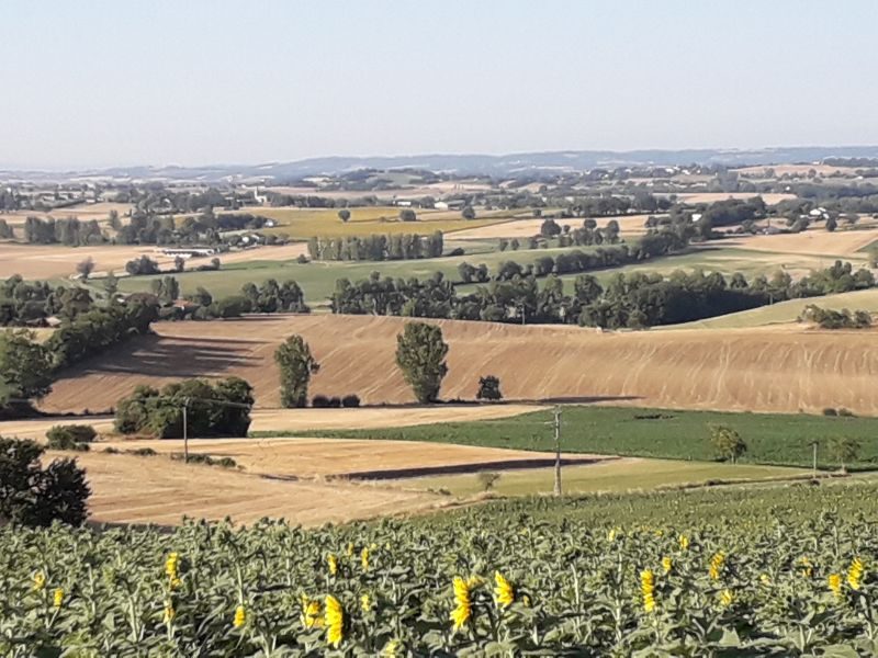 Paysage de la commune