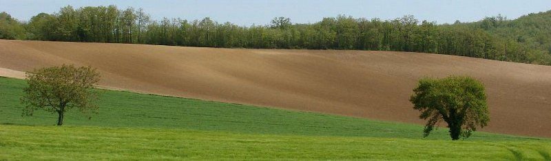 Champs sur la commune.