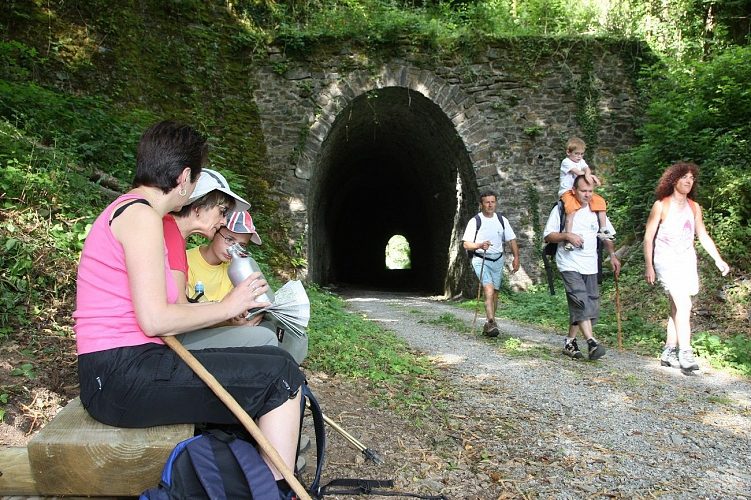 Le petit train
