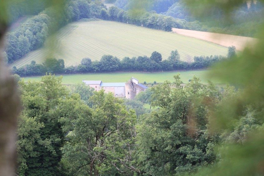 Fenêtre sur la nature