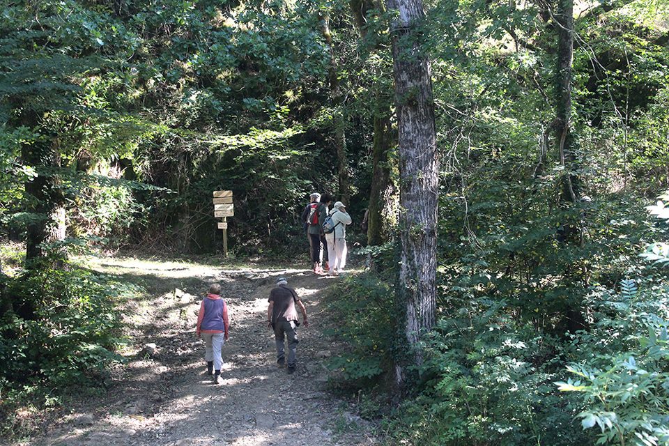Sentier botanique de Pampelonne