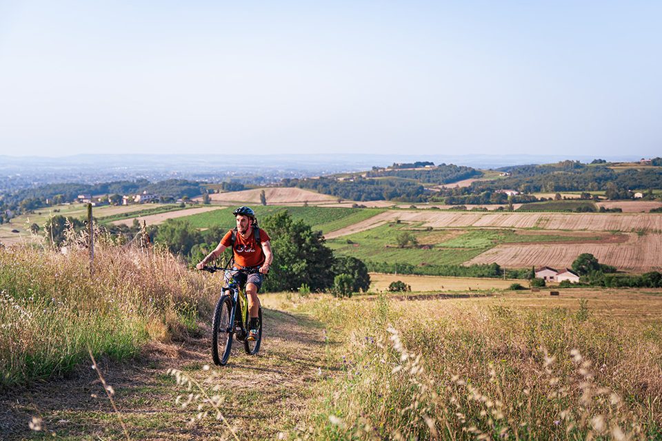 Circuit_a_VTT_dans_le_vignoble-Entre2poles-32183 web