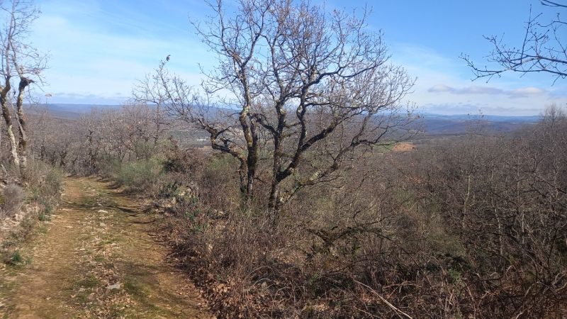 Chemin de la vallée de Bonnan