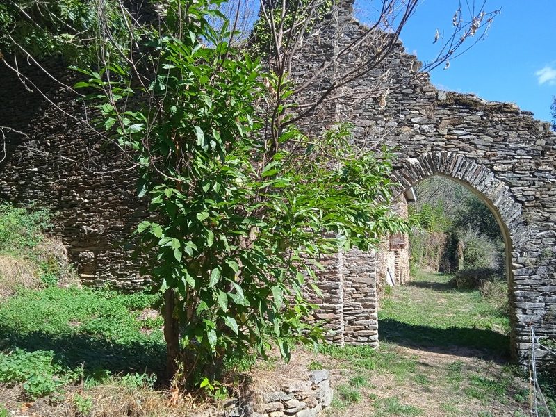 La Pourtanelle