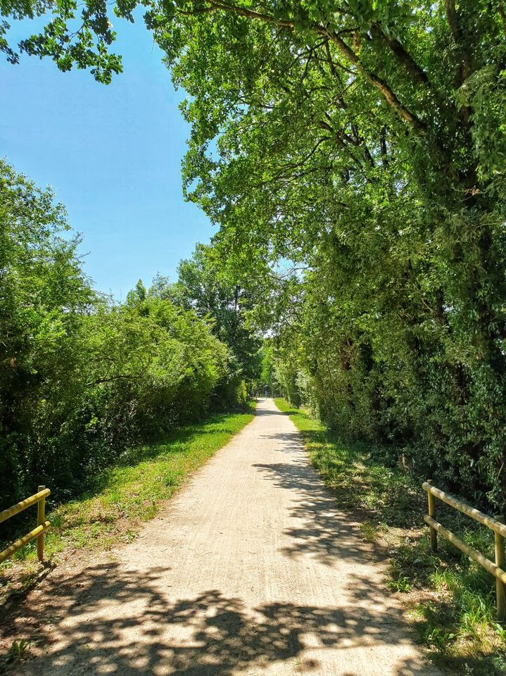 Le chemin des droits de l'Homme