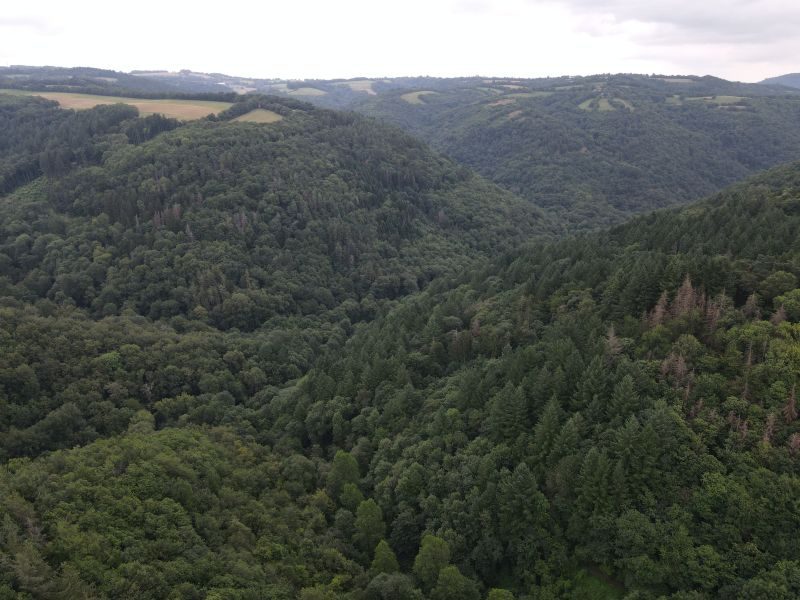 Vallée de l'Houlette