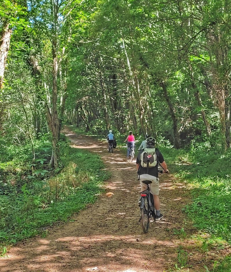Circuit VTT Tour du Réalmontais