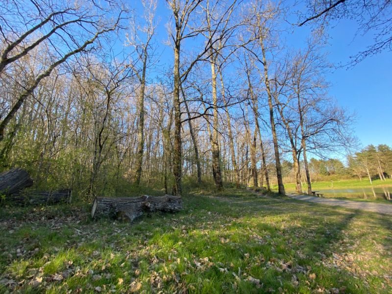 Plage sur le Tarn à Rabastens