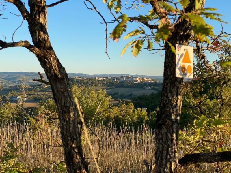 Circuit VTT 6 Chemin de Gradille