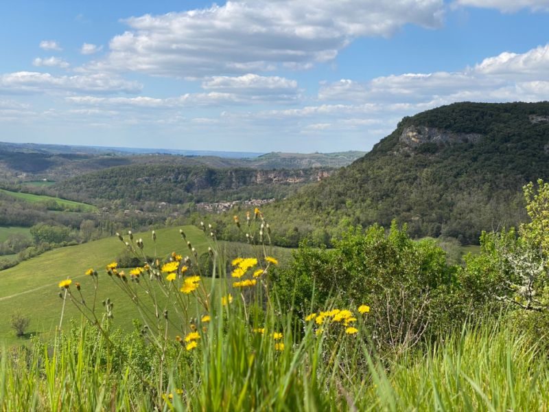 En forêt