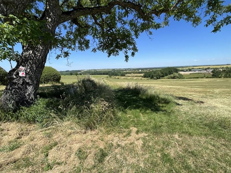 Circuit VTT 10 Les hauts de Gaillac noir