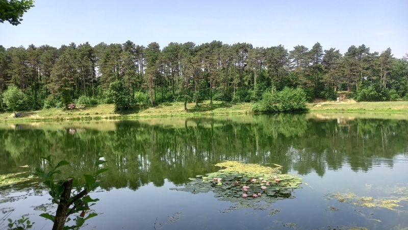 Lac de Nabeillou