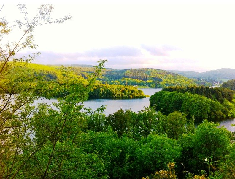 Circuit VTT n°13