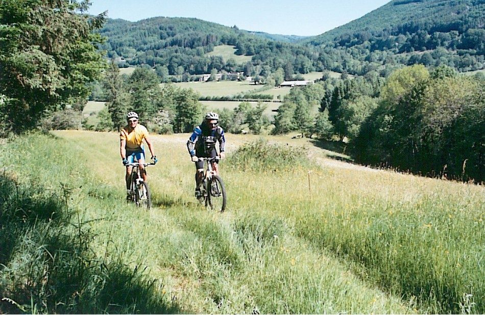 Dans les sous bois d'Anglès