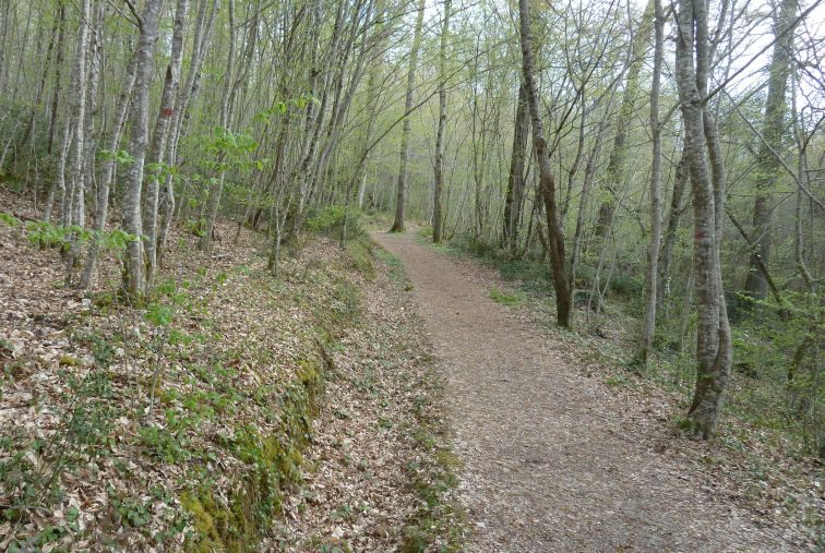 Chemin