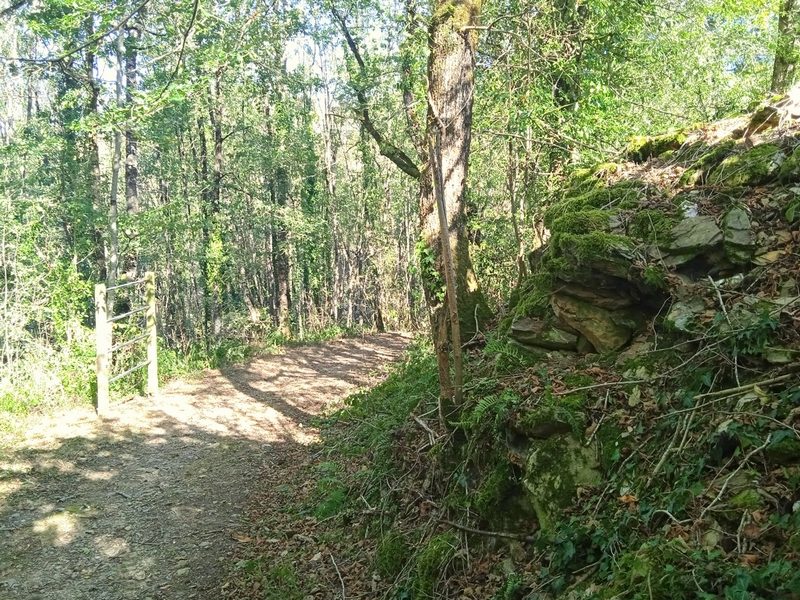 chemin en forêt sur le sentier des trésors de la Nature