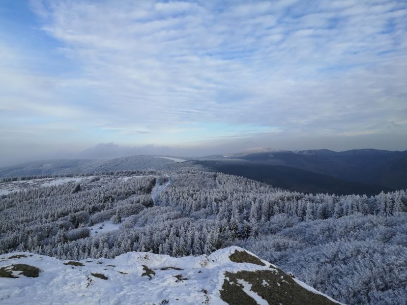 Peyremaux, Albine