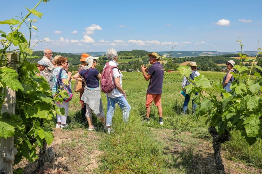 Visite commentée avec le viticulteur