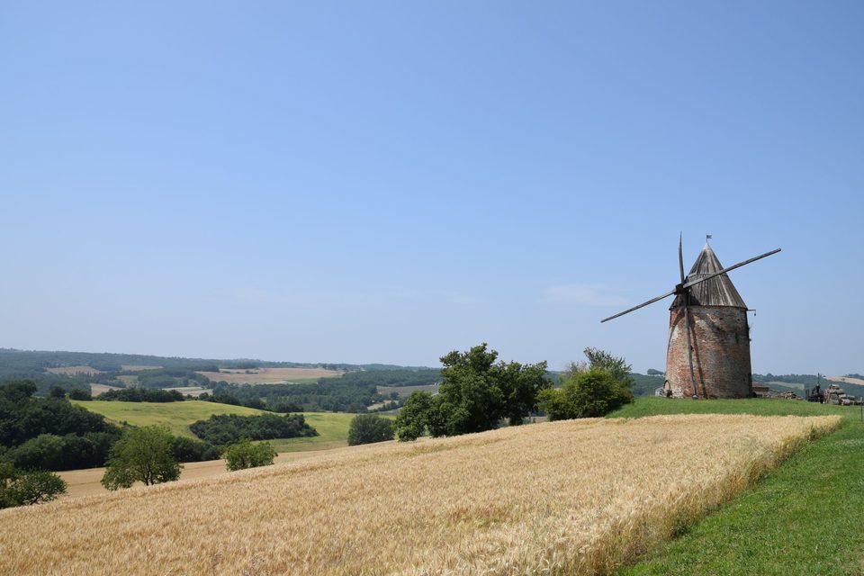 Vallons et forêts