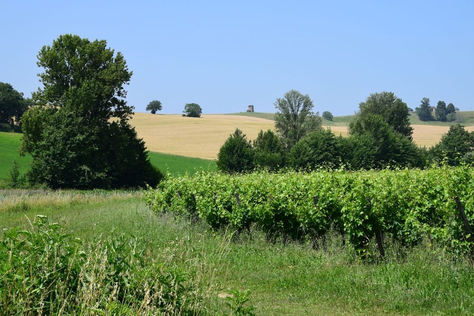 Rabastens - Sentier de la Plaine