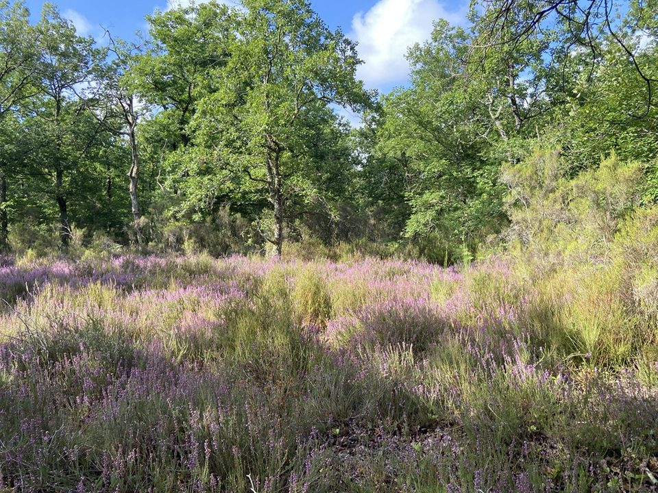 Giroussens - Boucle des Potiers