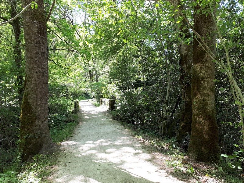 Chemin des fontaines
