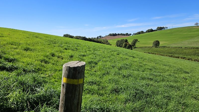 Sentier à travers prairies et collines