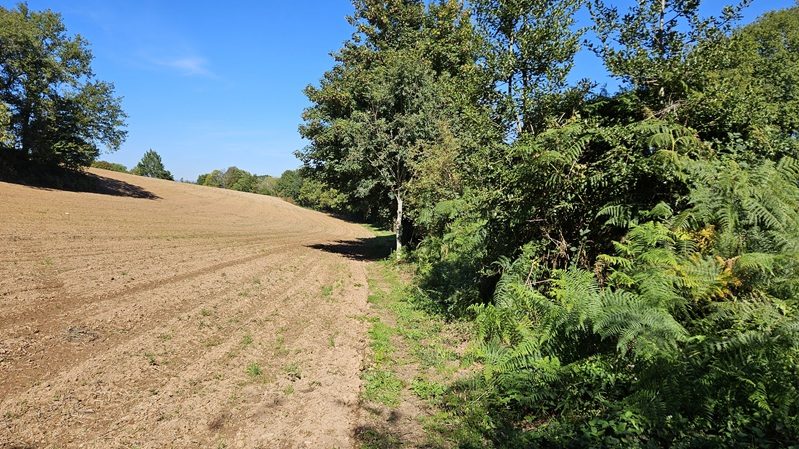 Sentier à travers champs