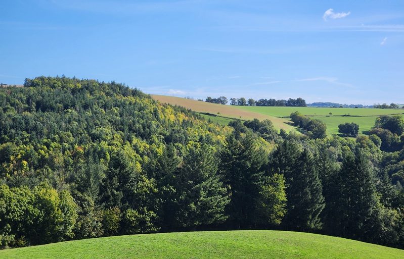Point de vue sur les Monts d'Alban