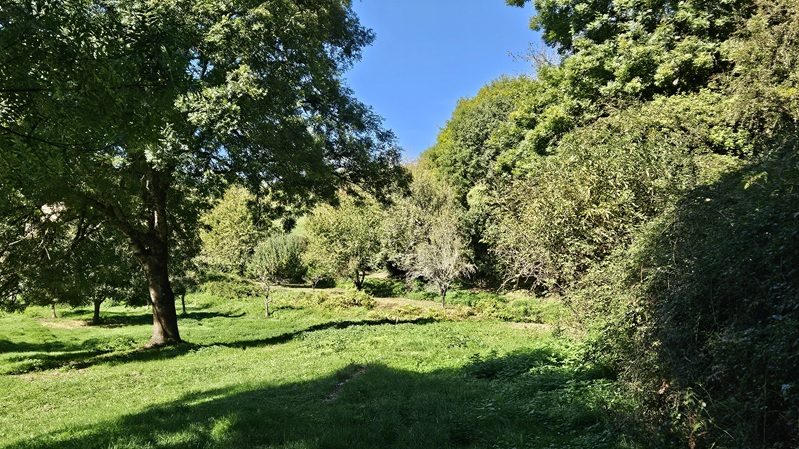 Le sentier emprunte des clairières cachées et bucoliques