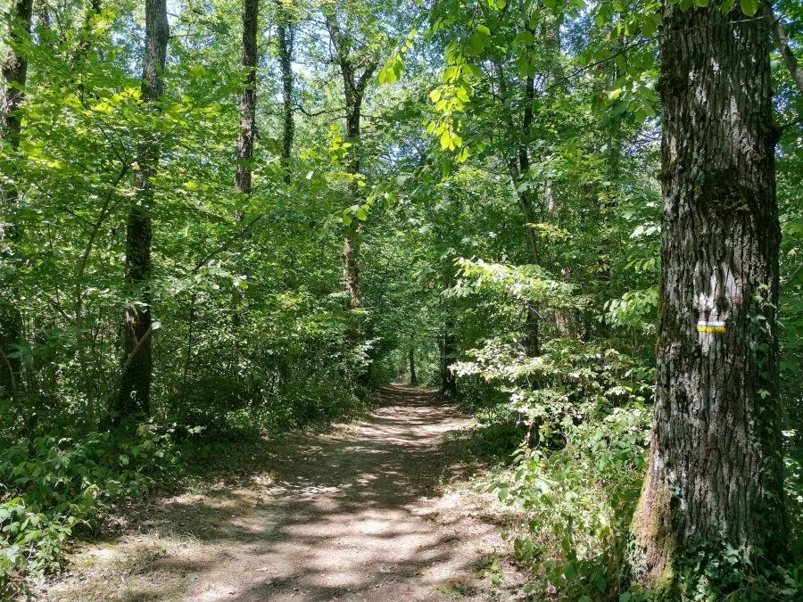 Sentier du Ségala