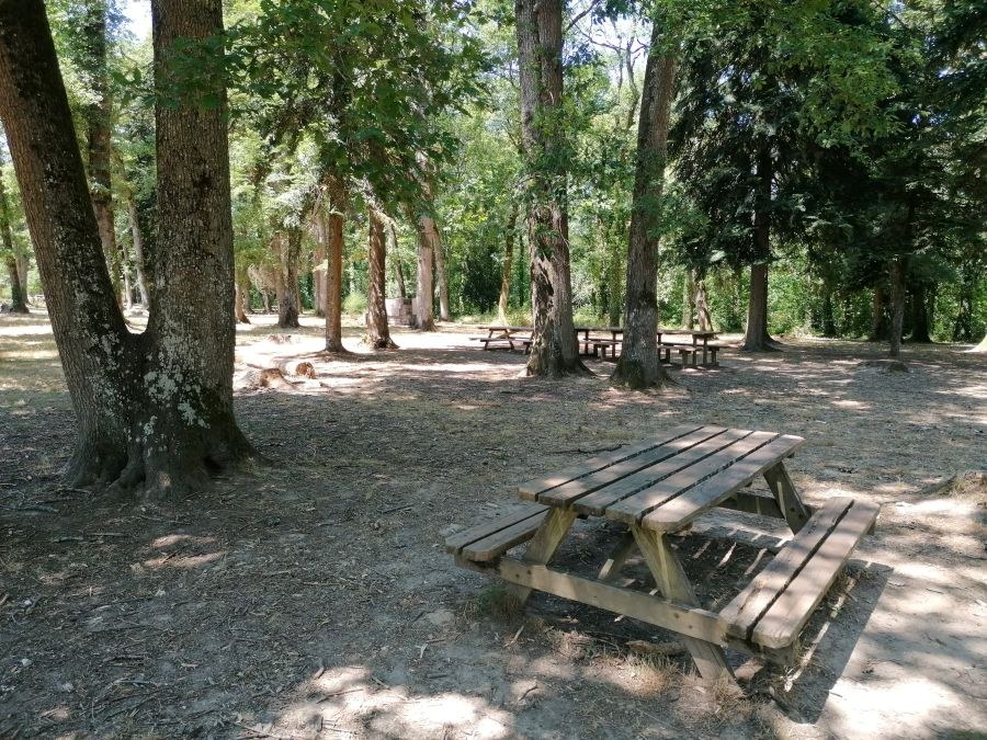 Forêt de Sérénac