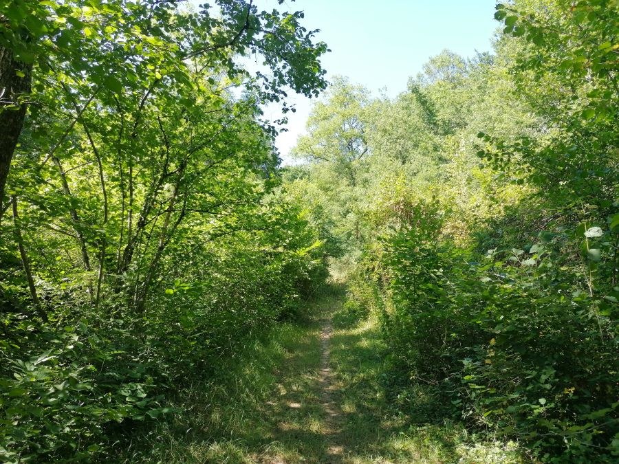 Sentier de liaison du Cérou au Viaur