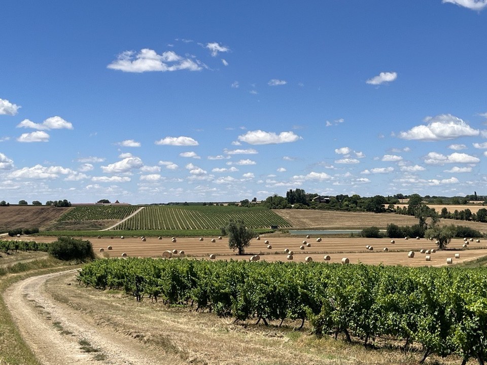 Circuit VTT 19 Lavoirs vignobles et châteaux