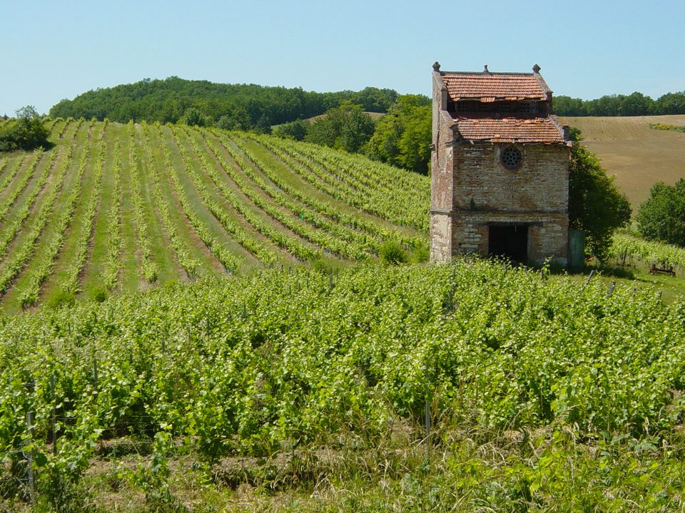 Paysage Gaillacois